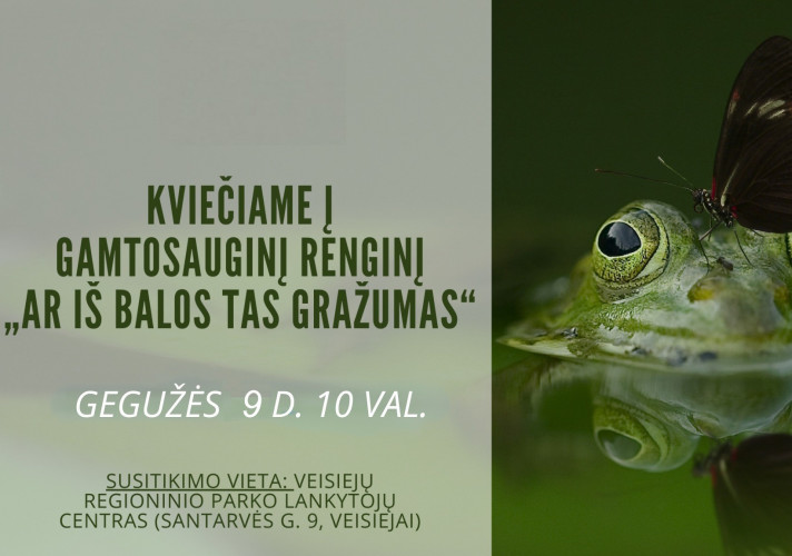 medvarle.jpg