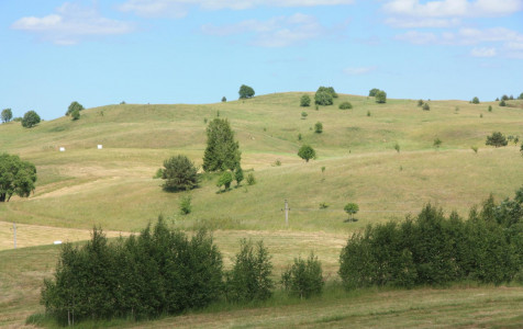 IMG_3575.JPG