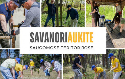 Savanoryste.jpg