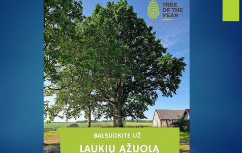 Arboristai.jpg