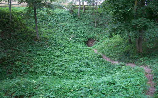 100_2611.jpg