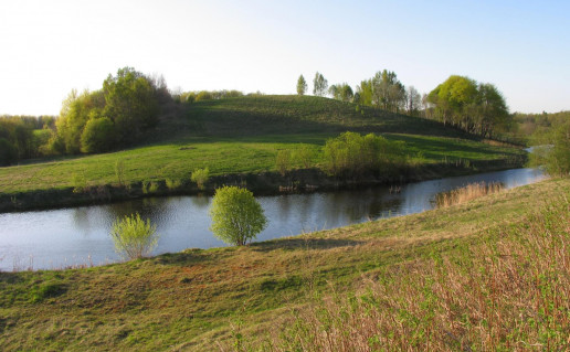 14_Parspilis.jpg