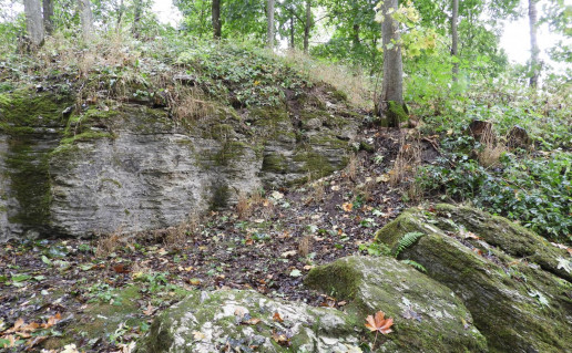 DSCN0490.jpg