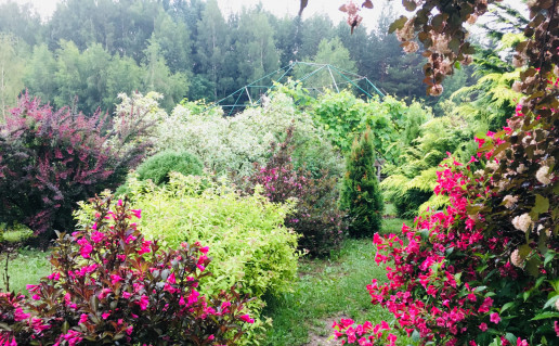 image00002.jpg