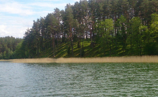 DSC_0047.JPG