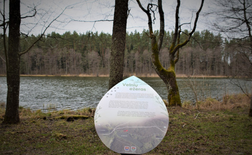 DSC_0896.JPG