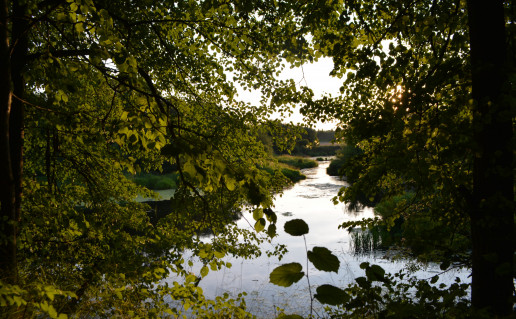 DSC_0834.JPG