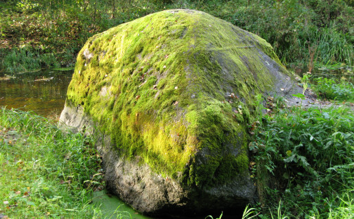 1-AKMUO RAPOLAS.JPG