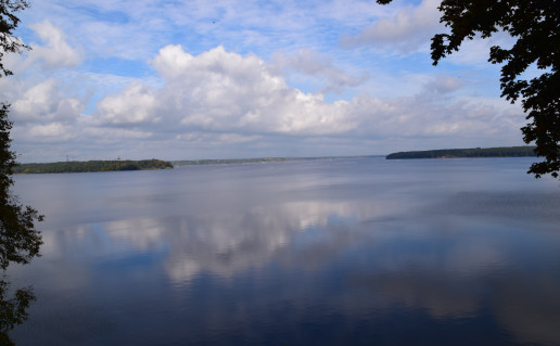 pakalnisk4.JPG