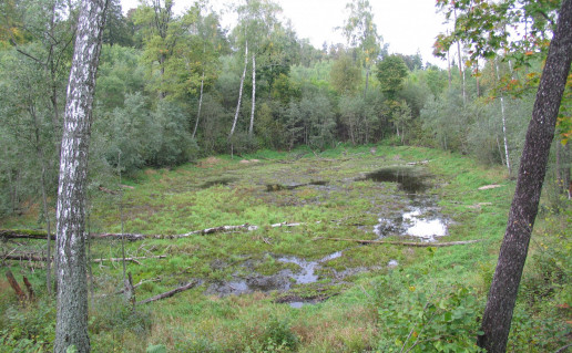 laumes duobe.JPG