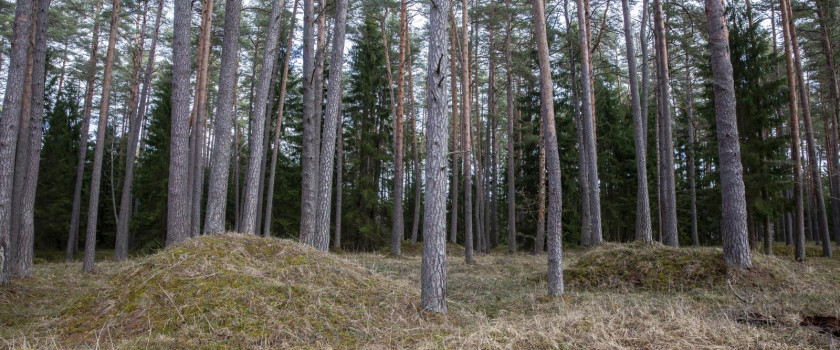 1-grazutes-regioninis-parkas-5c93880a141f7.jpg